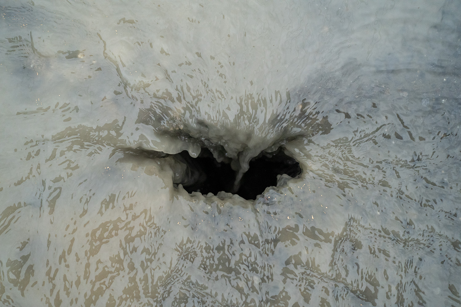 #6 – Entretiens avec la terre