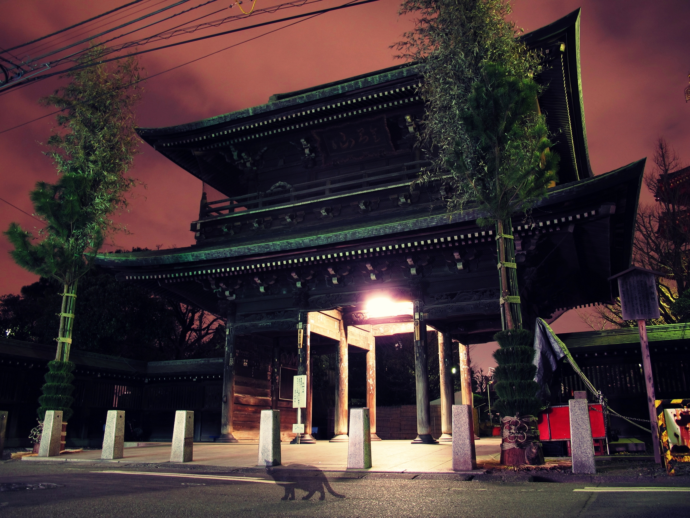 TATSUYA OZAWA